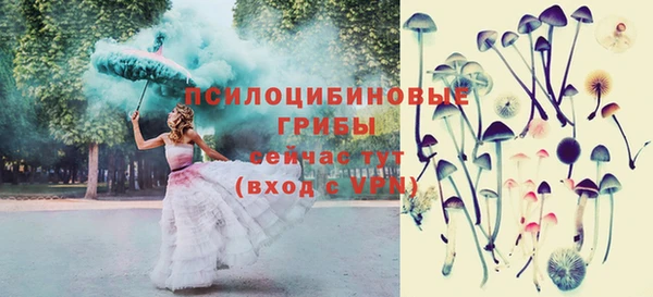 МДПВ Абинск