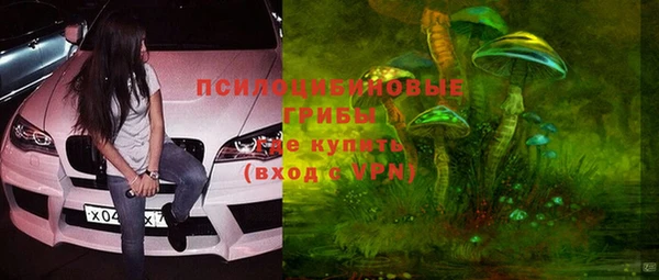 СК Алзамай