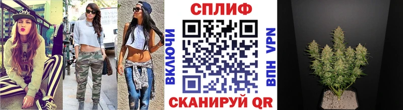 Конопля OG Kush  Болхов 